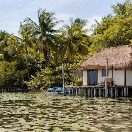 Lagoon Front Hut: Daily Cleaning, Bikes & Kayaks! Bacalar Luaran gambar